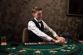 bet505 vip
