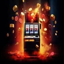 bet505 vip
